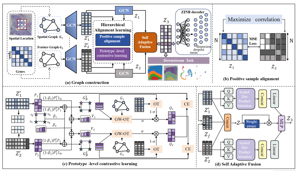 Multi-View Hierarchical Paper
